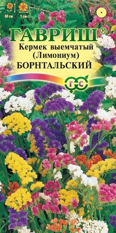 Купить оптом в Ботанике семена Лимониум Борнтальский смесь Гав бренд Гавриш