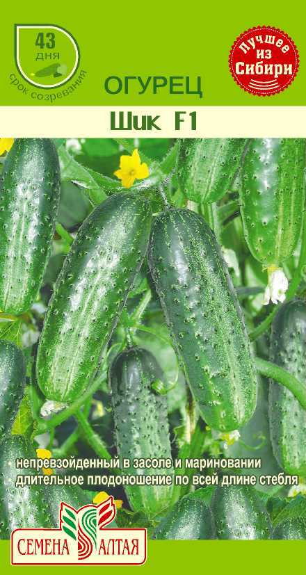 Купить оптом в Ботанике семена Огурец Шик F1 СА бренд Семена Алтая