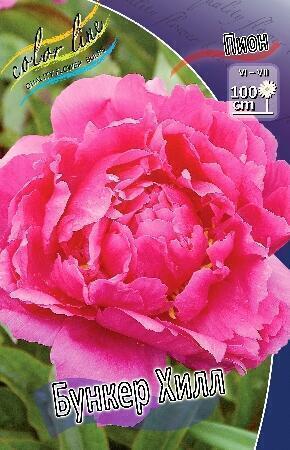 Купить оптом в Ботанике Пион Бункер Хилл 1 шт