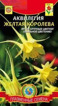 Купить оптом в Ботанике семена Аквилегия Желтая королева Плз бренд Плазмас