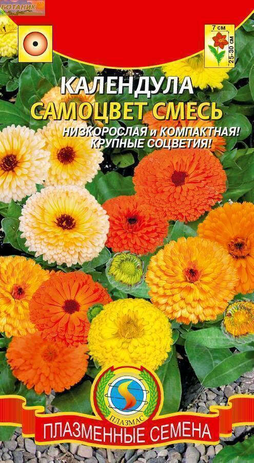 Купить оптом в Ботанике семена Календула Самоцвет новая смесь Плз бренд Плазмас