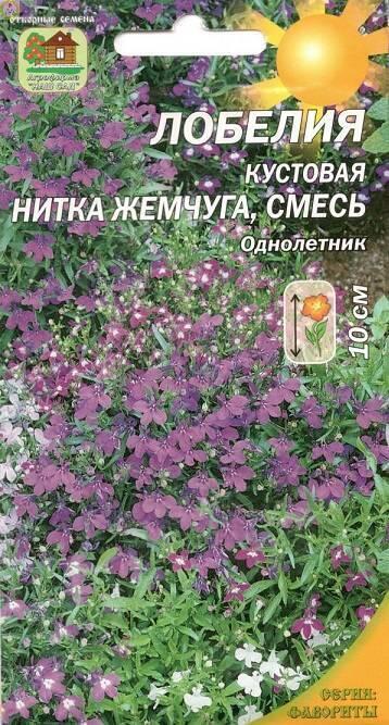 Купить оптом в Ботанике семена Лобелия Нить жемчуга смесь Наш бренд Наш сад
