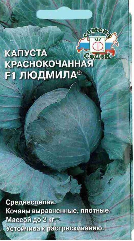 Купить оптом в Ботанике семена Капуста краснокочанная Людмила Сед бренд СеДеК