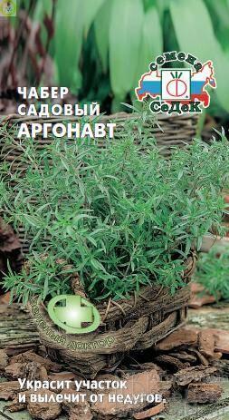 Купить оптом в Ботанике семена Чабер Аргонавт Сед бренд СеДеК