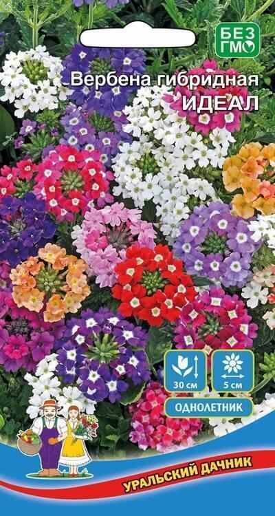 Купить оптом в Ботанике семена Вербена Идеал гибридная УД бренд Уральский дачник