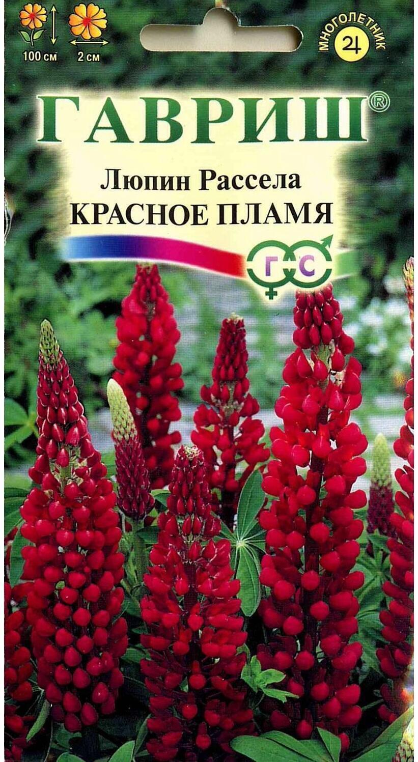 Купить оптом в Ботанике семена Люпин Рассела Красное пламя Гав бренд Гавриш