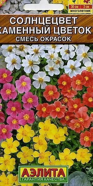 Купить оптом в Ботанике семена Солнцецвет Каменный цветок Аэл бренд Аэлита