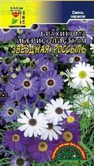 Купить оптом в Ботанике семена Брахикома Звездная россыпь смесь ЦС бренд Цветущий Сад
