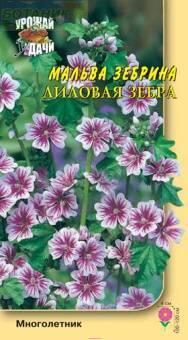 Купить оптом в Ботанике семена Мальва Лиловая зебра зебрина УУ бренд Урожай Удачи