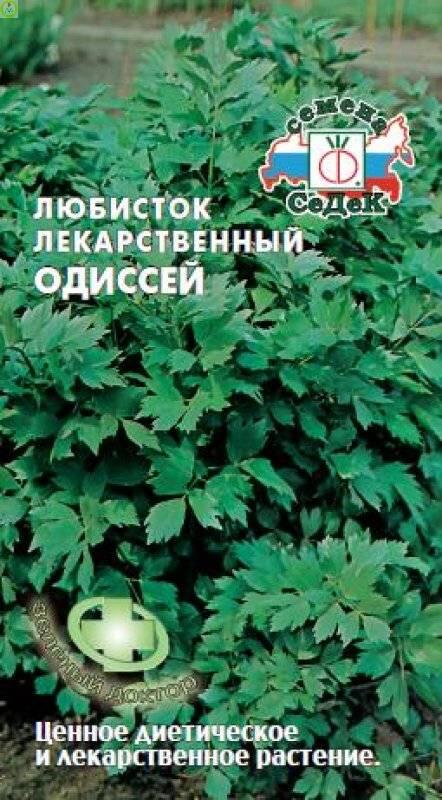 Купить оптом в Ботанике семена Любисток лекарственный Одиссей Сед бренд СеДеК