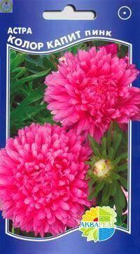 Купить оптом в Ботанике семена Астра Колор капит пинк Акв бренд Акварель