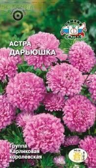 Купить оптом в Ботанике семена Астра Дарьюшка карликовая Сед бренд СеДеК