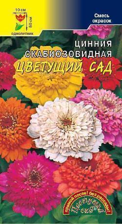 Купить оптом в Ботанике семена Цинния Цветущий сад смесь ЦС бренд Цветущий Сад