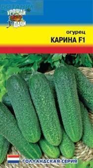 Купить оптом в Ботанике семена Огурец Карина F1 УУ бренд Урожай Удачи