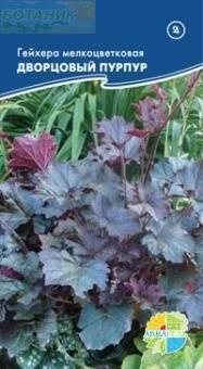 Купить оптом в Ботанике семена Гейхера мелкоцветковая Дворцовый пурпур Акв бренд Акварель