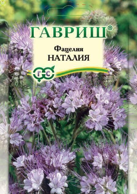 Купить оптом в Ботанике семена Фацелия Наталия 20 г Гав бренд Гавриш