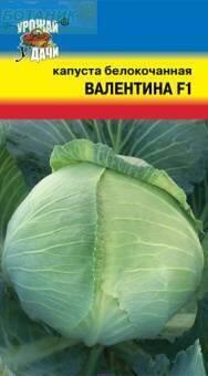 Купить оптом в Ботанике семена Капуста белокочанная Валентина F1 УУ бренд Урожай Удачи