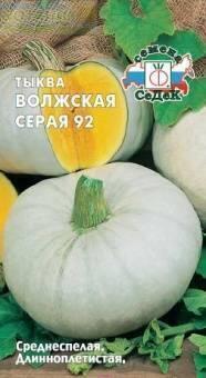 Купить оптом в Ботанике семена Тыква Волжская серая Сед бренд СеДеК