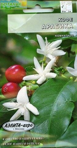 Купить оптом в Ботанике семена Кофе Арабика* Аэл бренд Аэлита
