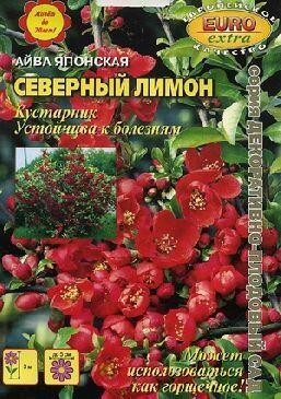 Купить оптом в Ботанике семена Айва Северный лимон Аэл бренд Аэлита