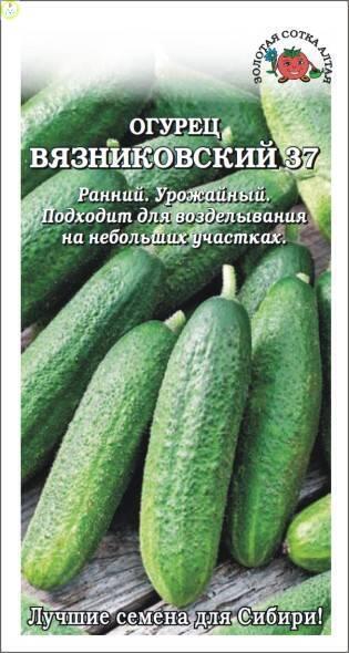 Купить оптом в Ботанике семена Огурец Вязниковский ЗС бренд Золотая сотка