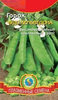 Купить оптом в Ботанике семена Горох Чудо Кельведона Плз бренд Плазмас