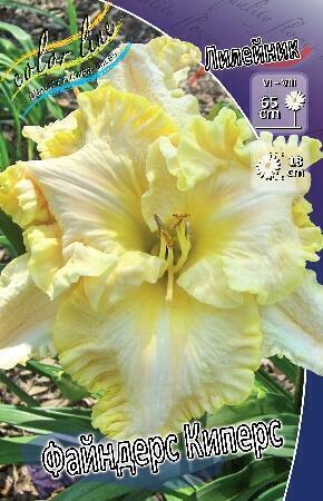 Купить оптом в Ботанике Лилейник Файндерс Киперс 1 шт