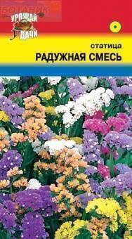 Купить оптом в Ботанике семена Статица Радужная смесь УУ бренд Урожай Удачи