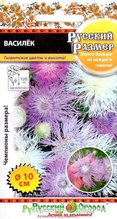 Купить оптом в Ботанике семена Василек Русский Размер НК бренд НК