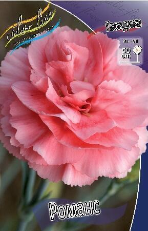 Купить оптом в Ботанике Гвоздика Романс 2 шт