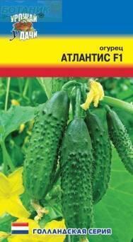 Купить оптом в Ботанике семена Огурец Атлантис F1 УУ бренд Урожай Удачи
