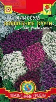 Купить оптом в Ботанике семена Алиссум Волшебные круги Плз бренд Плазмас