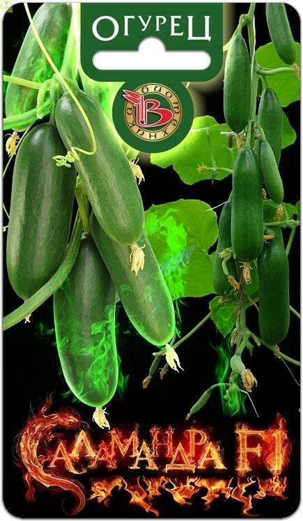 Купить оптом в Ботанике семена Огурец Саламандра F1 Био бренд Биотехника