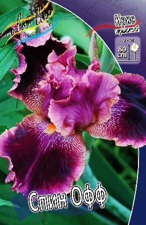 Купить оптом в Ботанике Ирис Спин Офф 2 шт