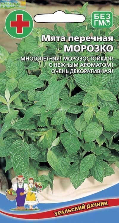Купить оптом в Ботанике семена Мята Морозко перечная УД бренд Уральский дачник