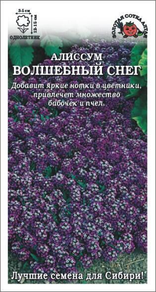 Купить оптом в Ботанике семена Алиссум Волшебный снег фиолет ЗС бренд Золотая сотка