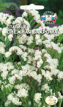 Купить оптом в Ботанике семена Статице Снежная бахрома смесь Сед бренд СеДеК