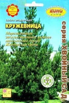 Купить оптом в Ботанике семена Сосна Кружевница эльдарская Аэл бренд Аэлита