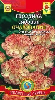 Купить оптом в Ботанике семена Гвоздика садовая Очарование Плз бренд Плазмас