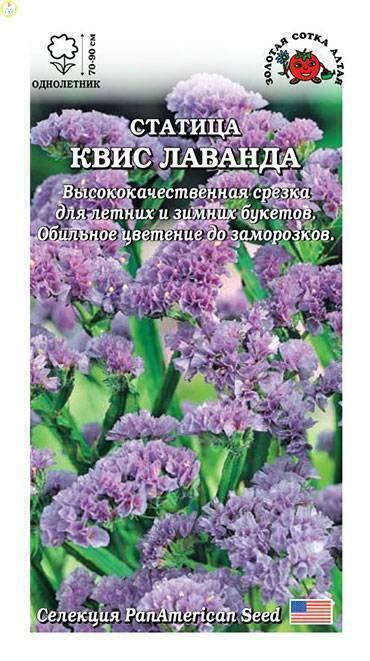 Купить оптом в Ботанике семена Статица Квис лаванда ЗС бренд Золотая сотка