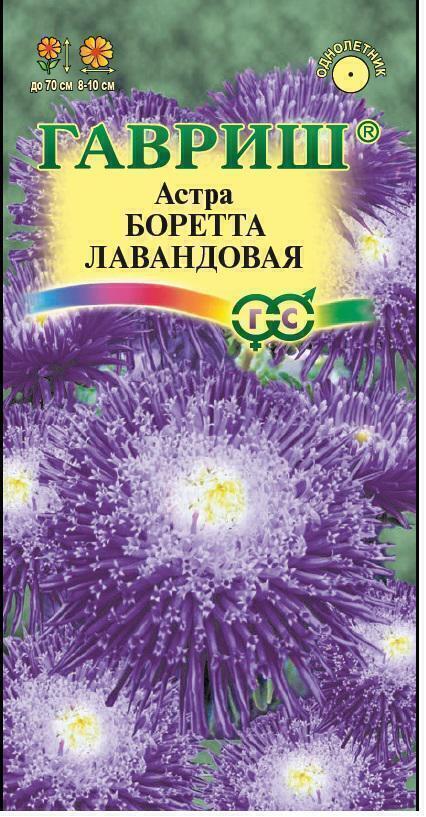 Купить оптом в Ботанике семена Астра Боретта лавандовая Гав бренд Гавриш