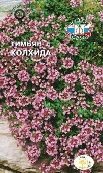 Купить оптом в Ботанике семена Тимьян Колхида Сед бренд СеДеК