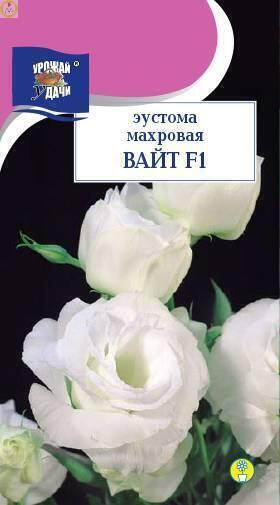 Купить оптом в Ботанике семена Эустома махровая Вайт F1 УУ бренд Урожай Удачи