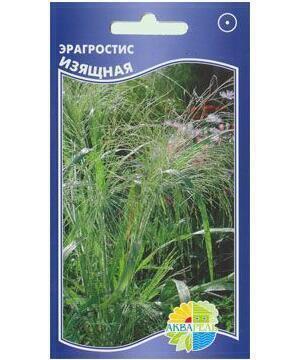 Купить оптом в Ботанике семена Эрагростис Изящная Акв бренд Акварель