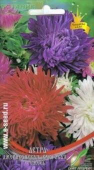Купить оптом в Ботанике семена Астра Американская кустовая смесь ССО бренд Сортсемовощ
