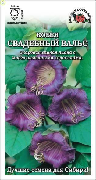 Купить оптом в Ботанике семена Кобея Свадебный Вальс фиолетовая ЗС бренд Золотая сотка