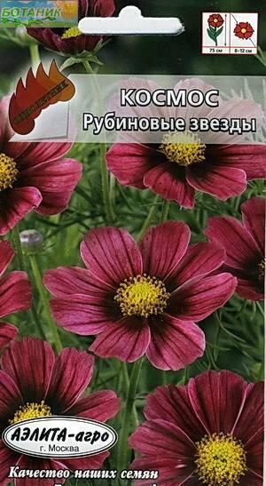 Купить оптом в Ботанике семена Космос Рубиновые звезды Аэл бренд Аэлита