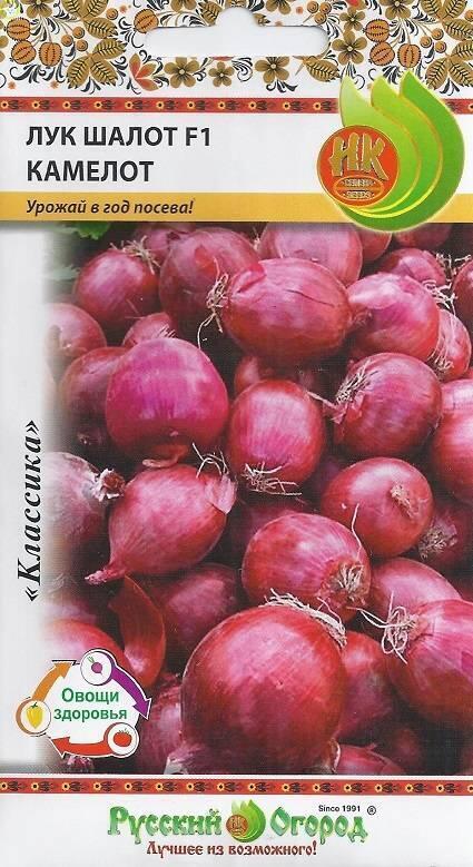Купить оптом в Ботанике семена Лук шалот Камелот F1 НК бренд НК