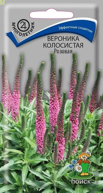 Купить оптом в Ботанике семена Вероника Розовая колосистая Поиск бренд Поиск