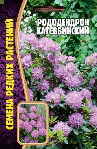 Купить оптом в Ботанике семена Рододендрон Катевбинский Реш бренд Решение, ООО